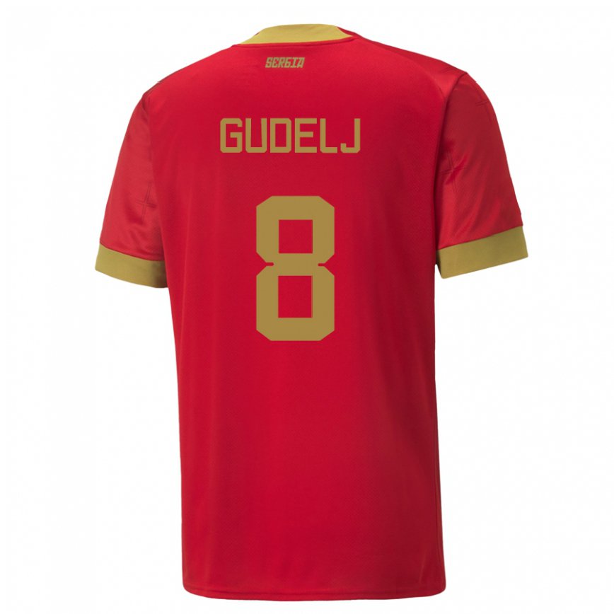 Niño Camiseta Serbia Nemanja Gudelj #8 Rojo 1ª Equipación 22-24 México