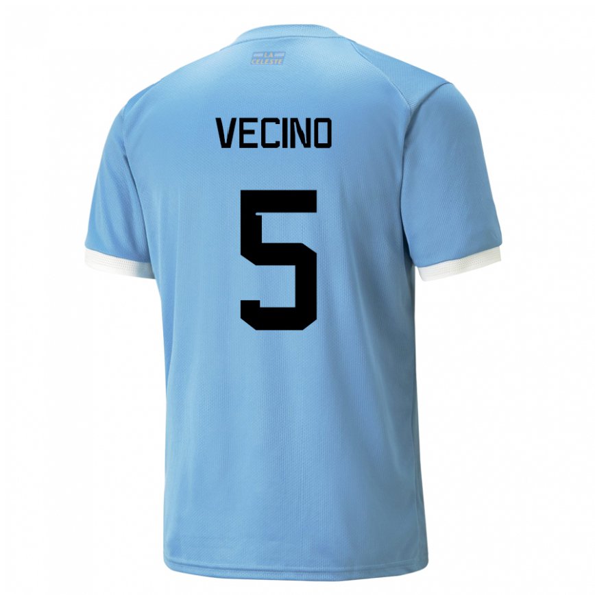 Hombre Camiseta Uruguay Matias Vecino #5 Azul 1ª Equipación 22-24 México