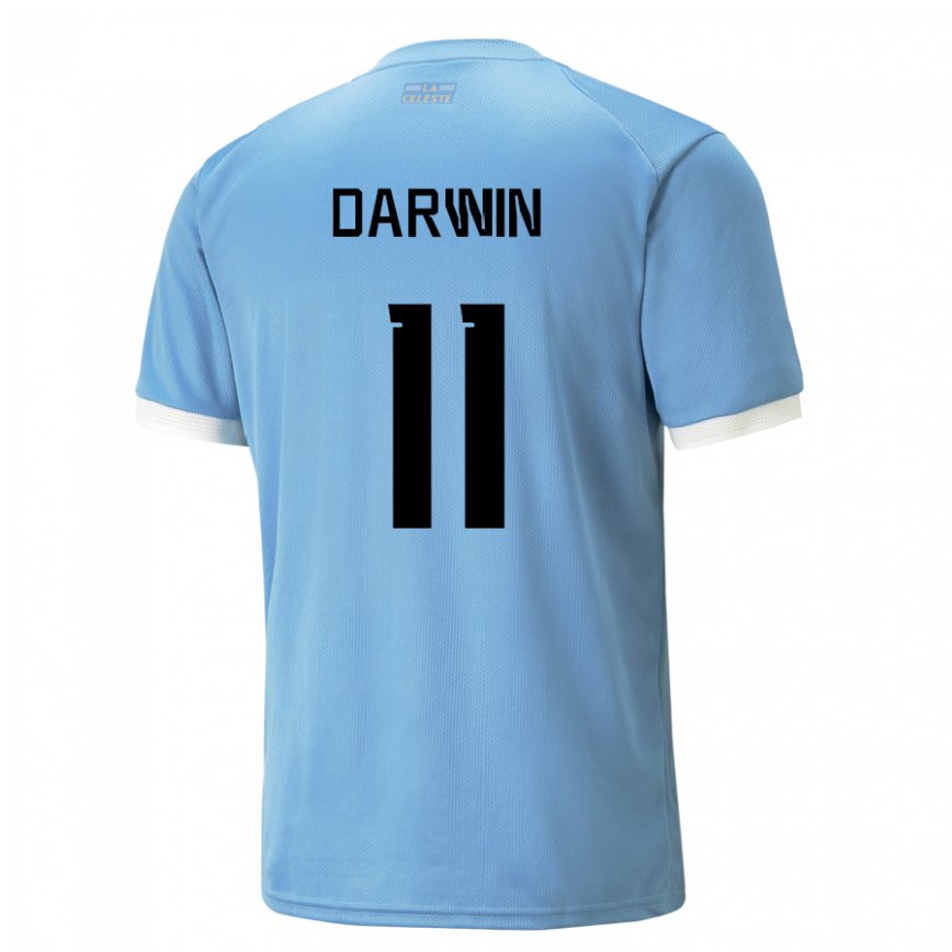 Mujer Camiseta Uruguay Darwin Nunez #11 Azul 1ª Equipación 22-24 México