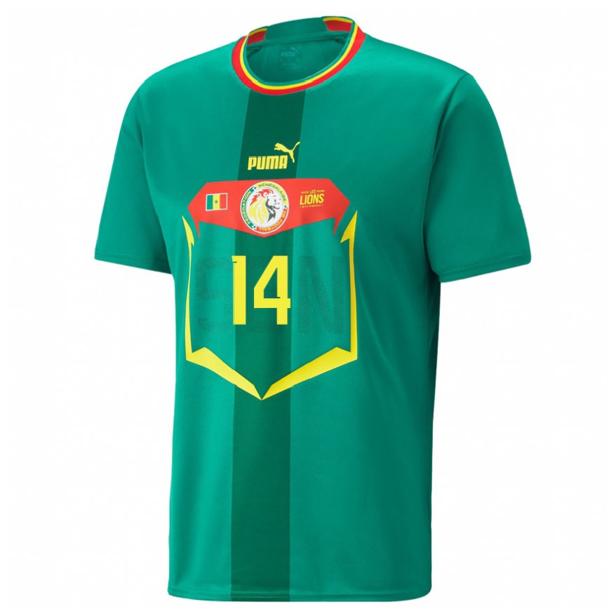 Hombre Camiseta Senegal Salimata Ndiaye #14 Verde 2ª Equipación 22-24 México