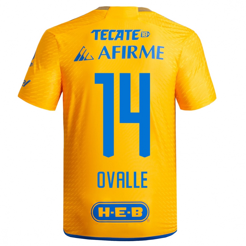 Hombre Fútbol Camiseta Lizbeth Ovalle #14 Amarillo 1ª Equipación 2023/24 México
